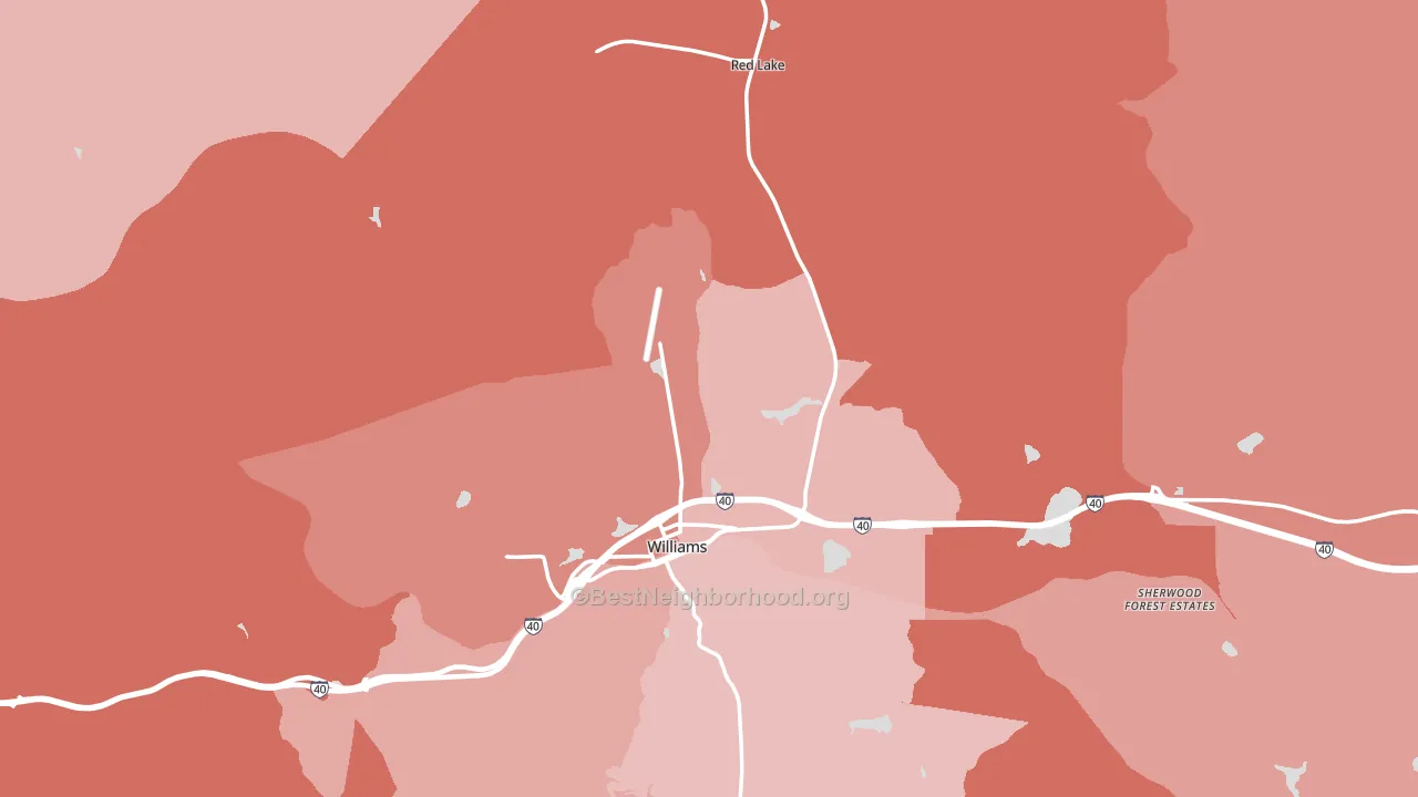 Williams, AZ block-group political-lean map