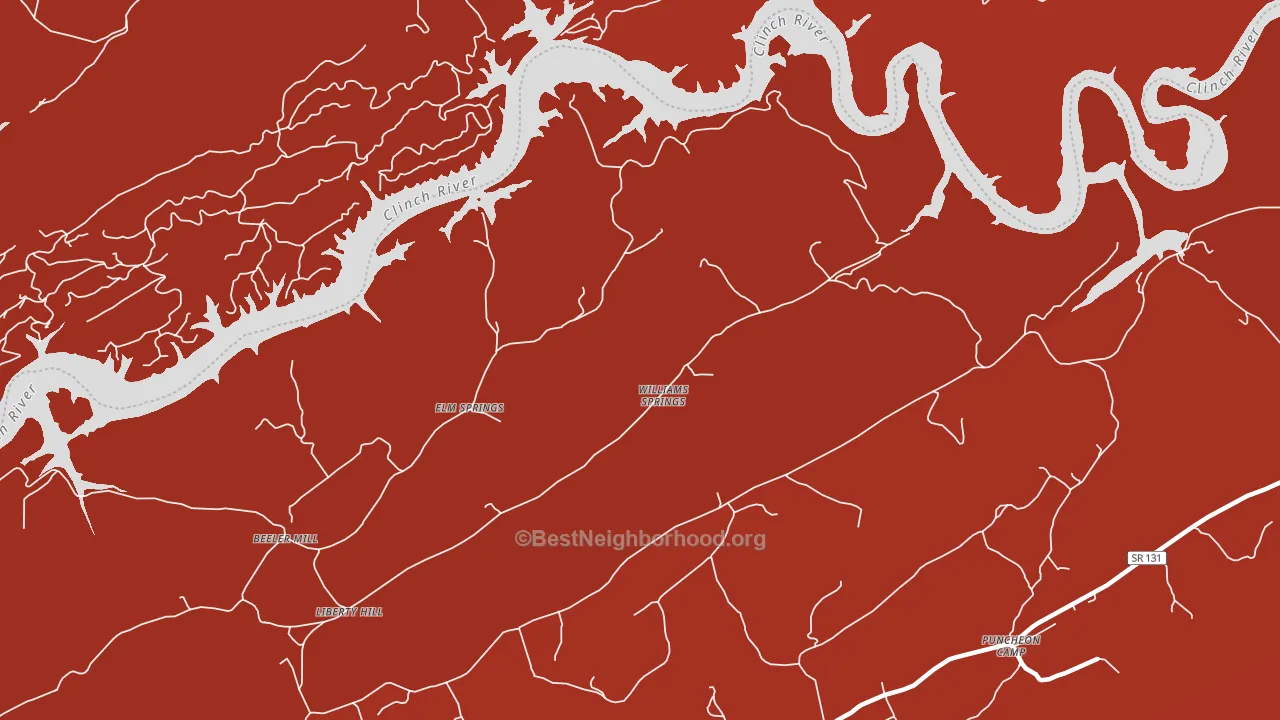 Williams Springs, TN block-group political-lean map