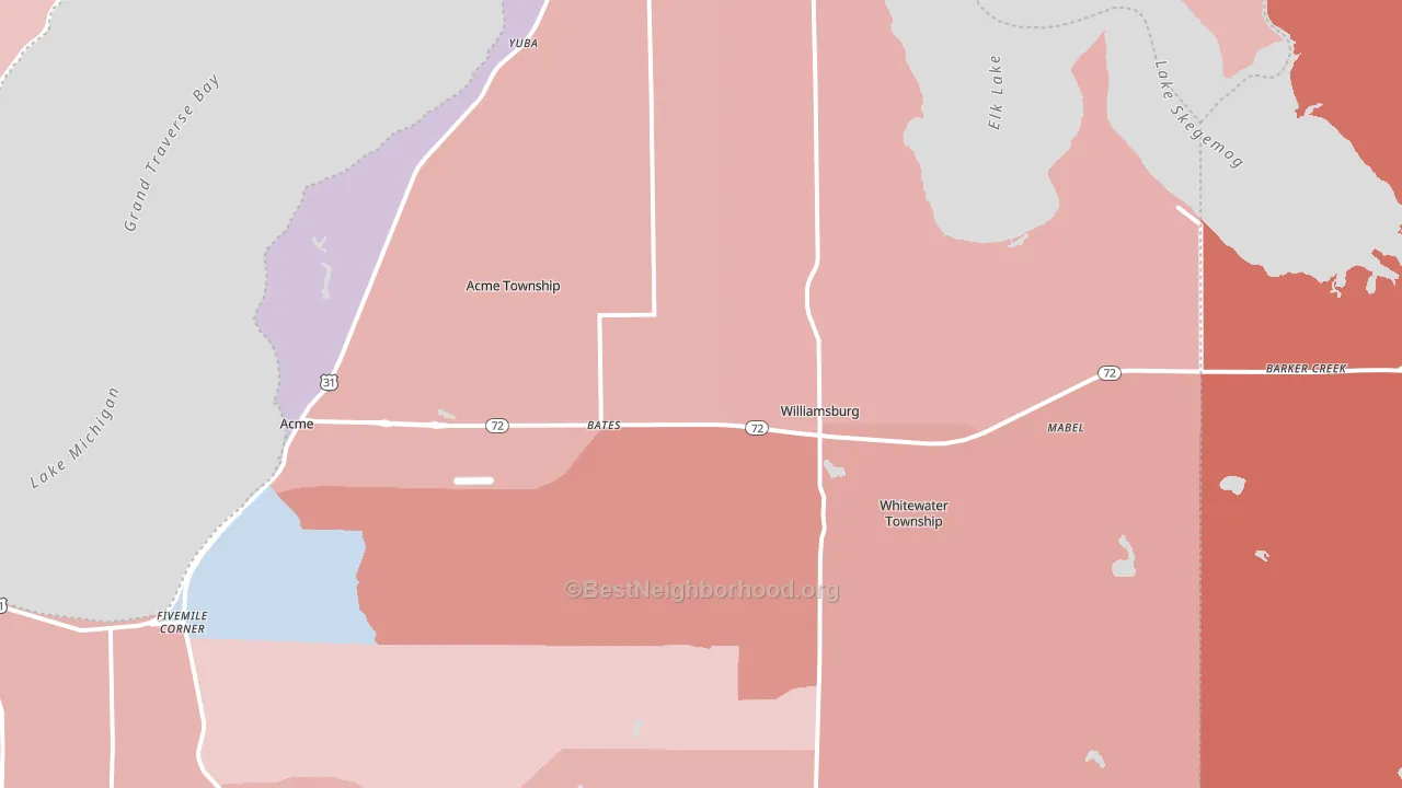 Williamsburg, MI block-group political-lean map