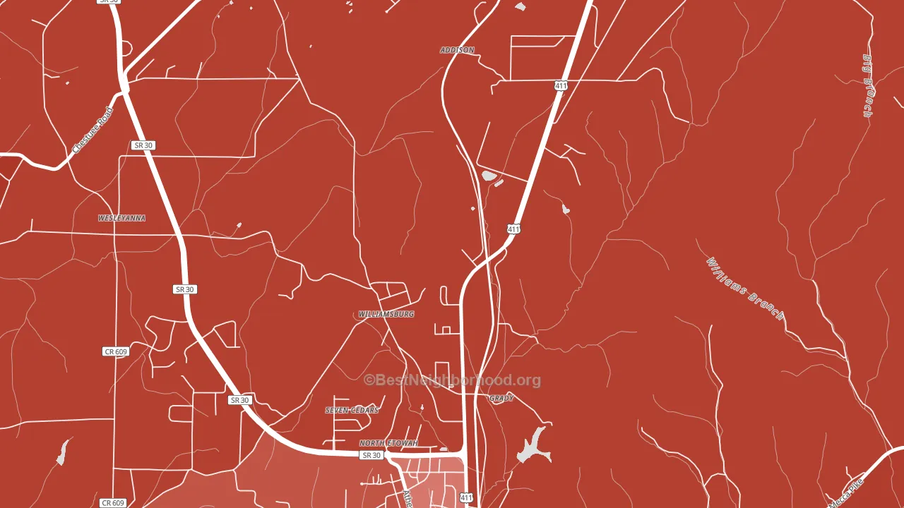 Williamsburg, TN block-group political-lean map