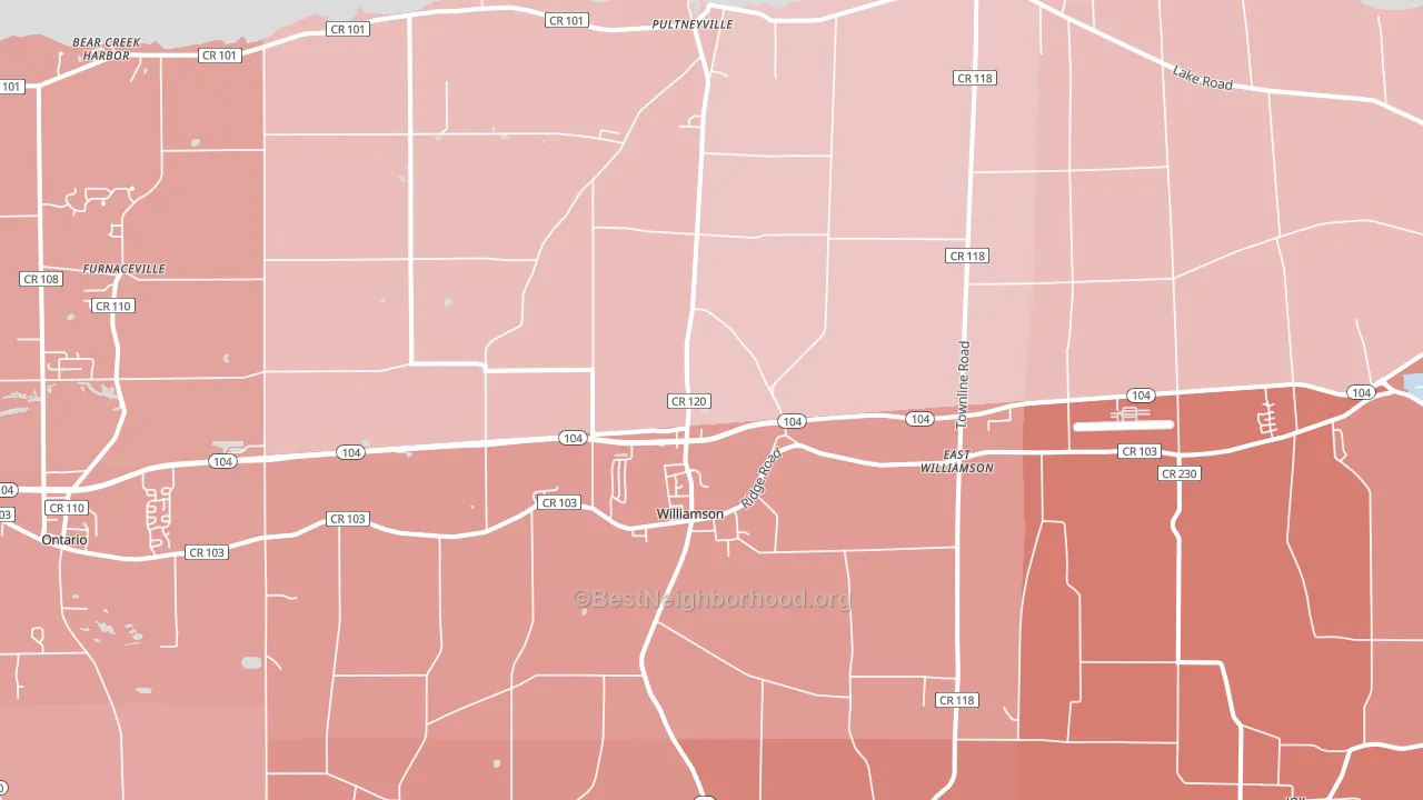 Williamson, NY block-group political-lean map