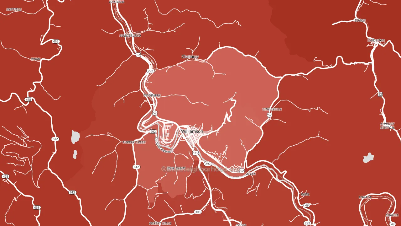 Williamson, WV block-group political-lean map