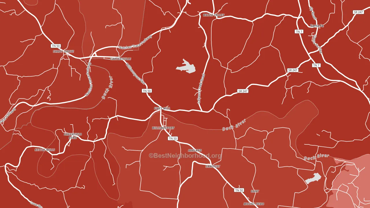 Williamsport, TN block-group political-lean map