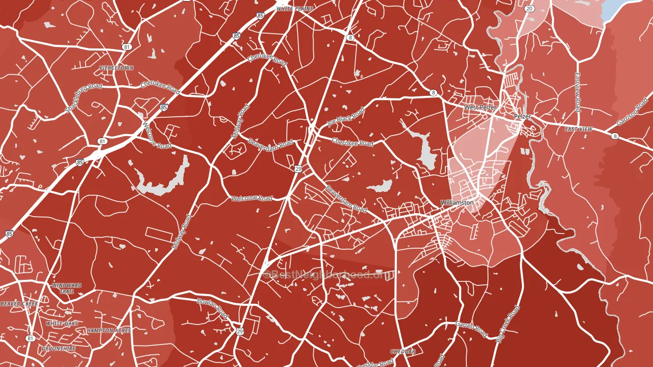 Williamston, SC block-group political-lean map