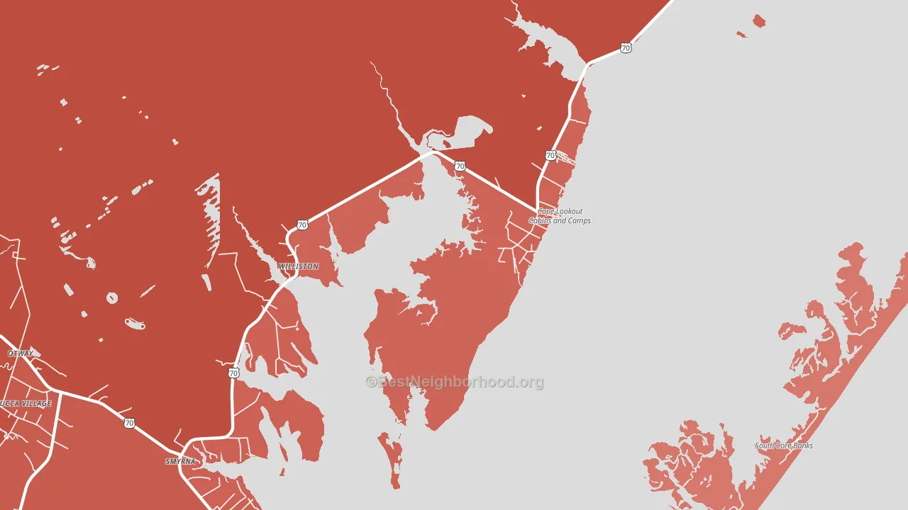 Williston, NC block-group political-lean map