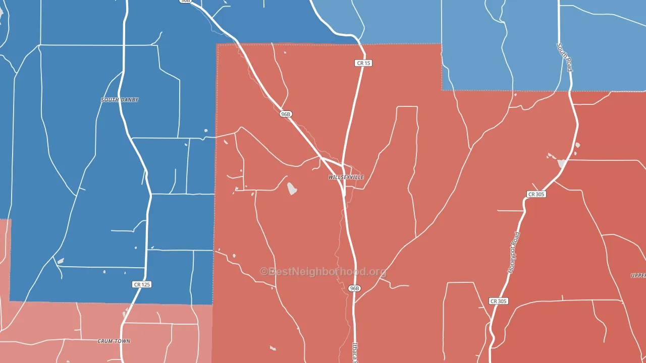 Willseyville, NY block-group political-lean map
