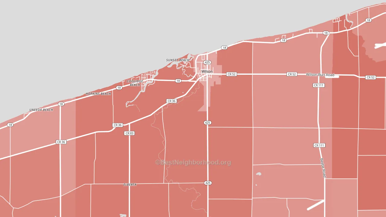 Wilson, NY block-group political-lean map