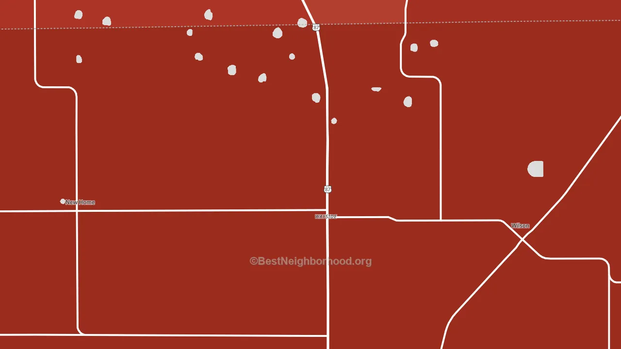 Wilson, TX block-group political-lean map