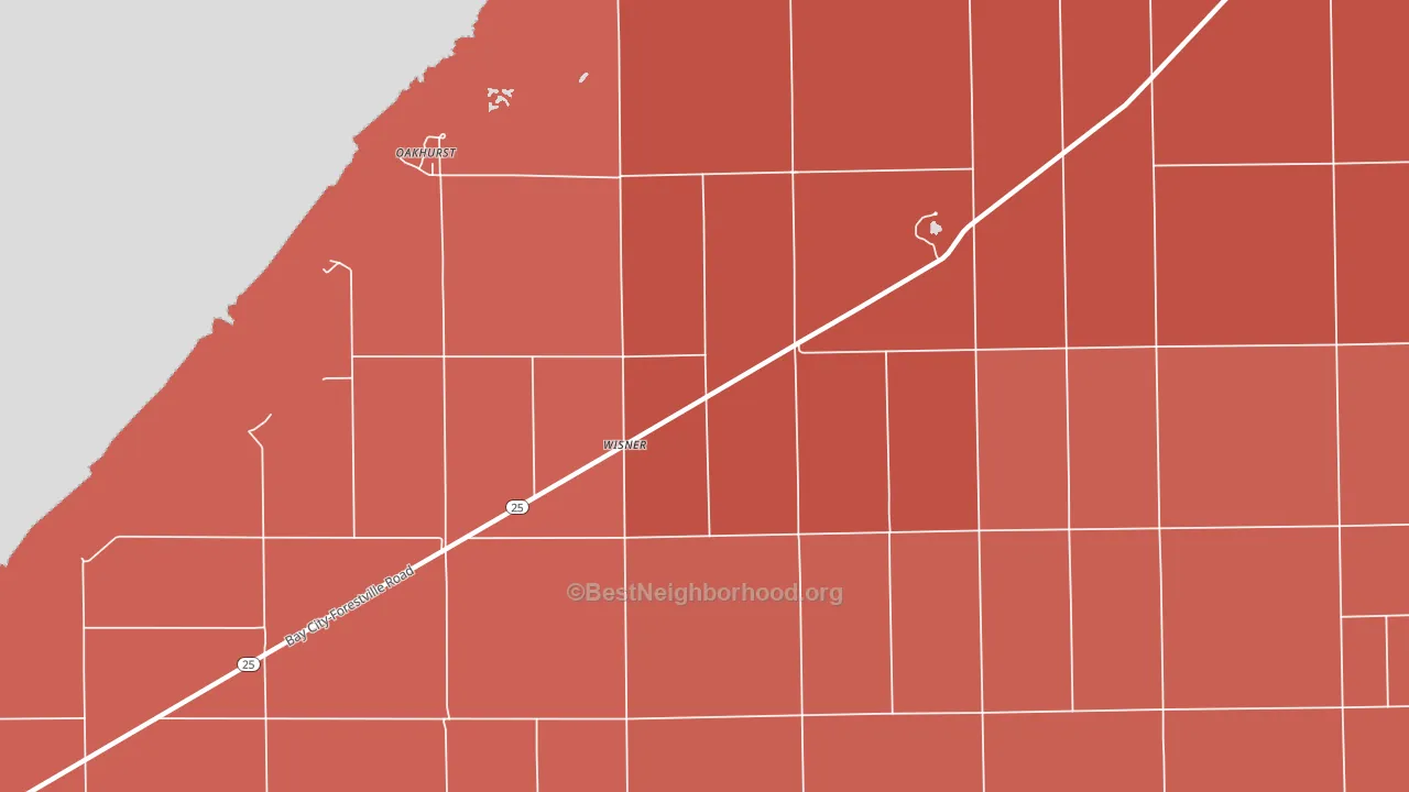 Wisner, MI block-group political-lean map