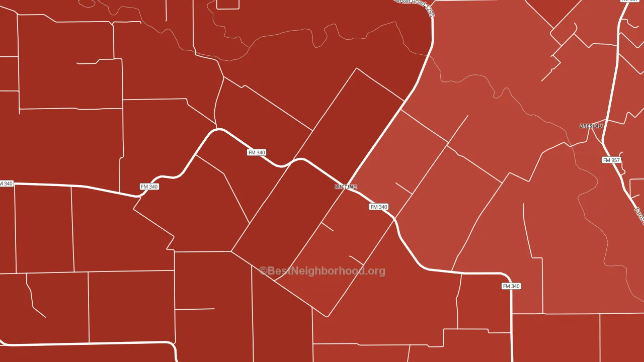 Witting, TX block-group political-lean map