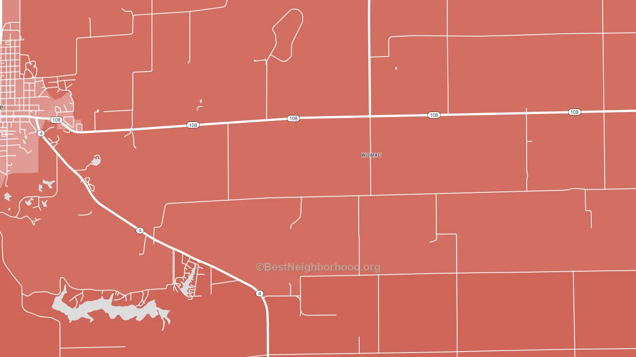 Womac, IL block-group political-lean map