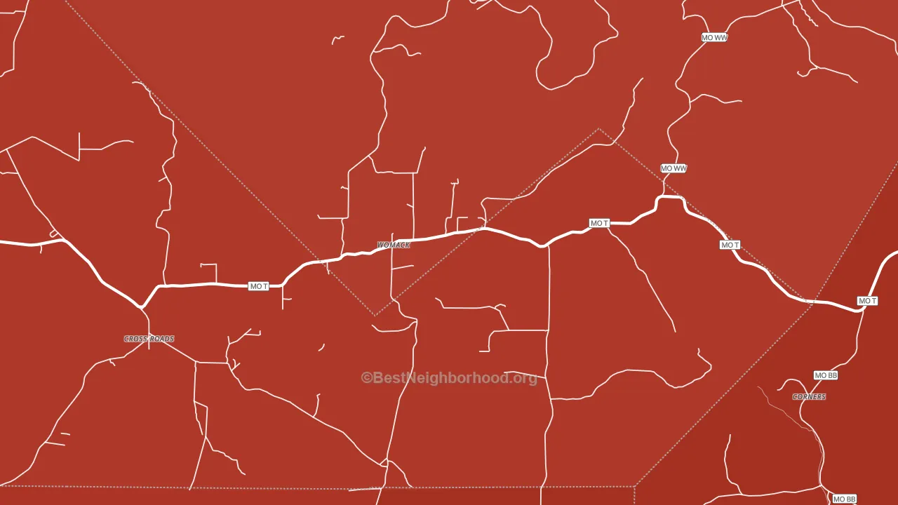 Womack, MO block-group political-lean map