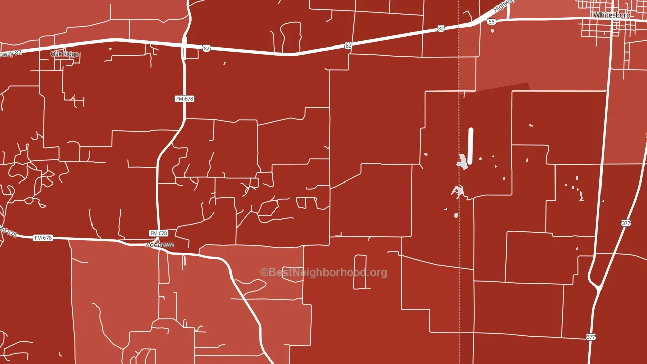Woodbine, TX block-group political-lean map