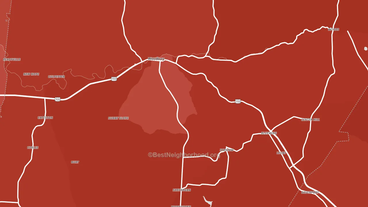 Woodbury, TN block-group political-lean map