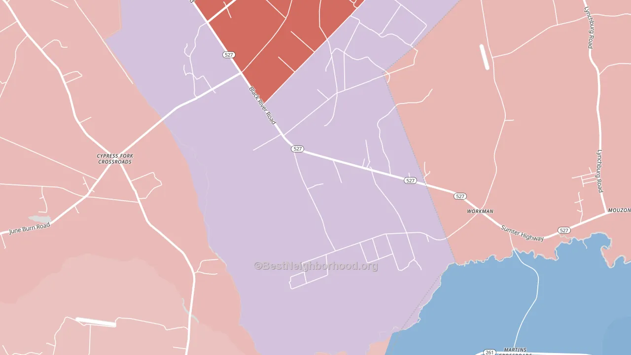 Workman, SC block-group political-lean map