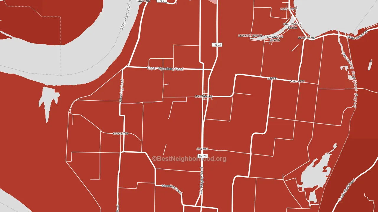 Wynnburg, TN block-group political-lean map