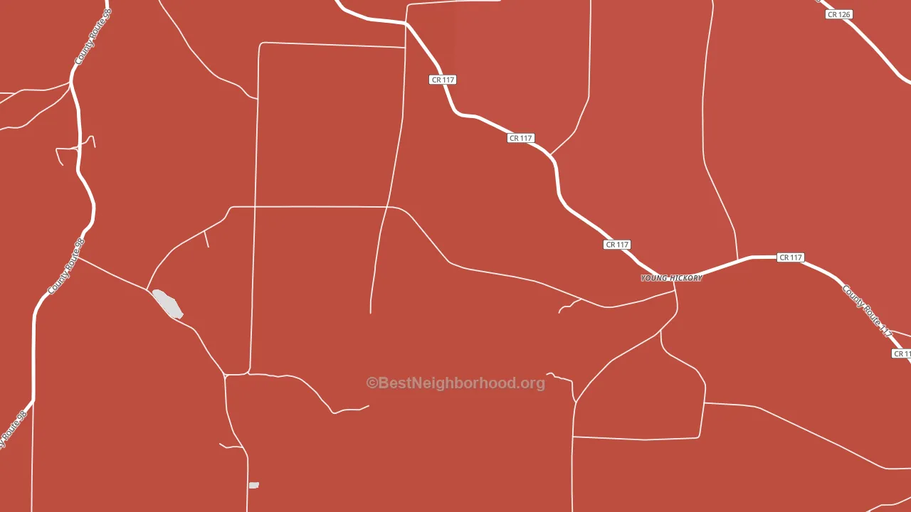 Young Hickory, NY block-group political-lean map