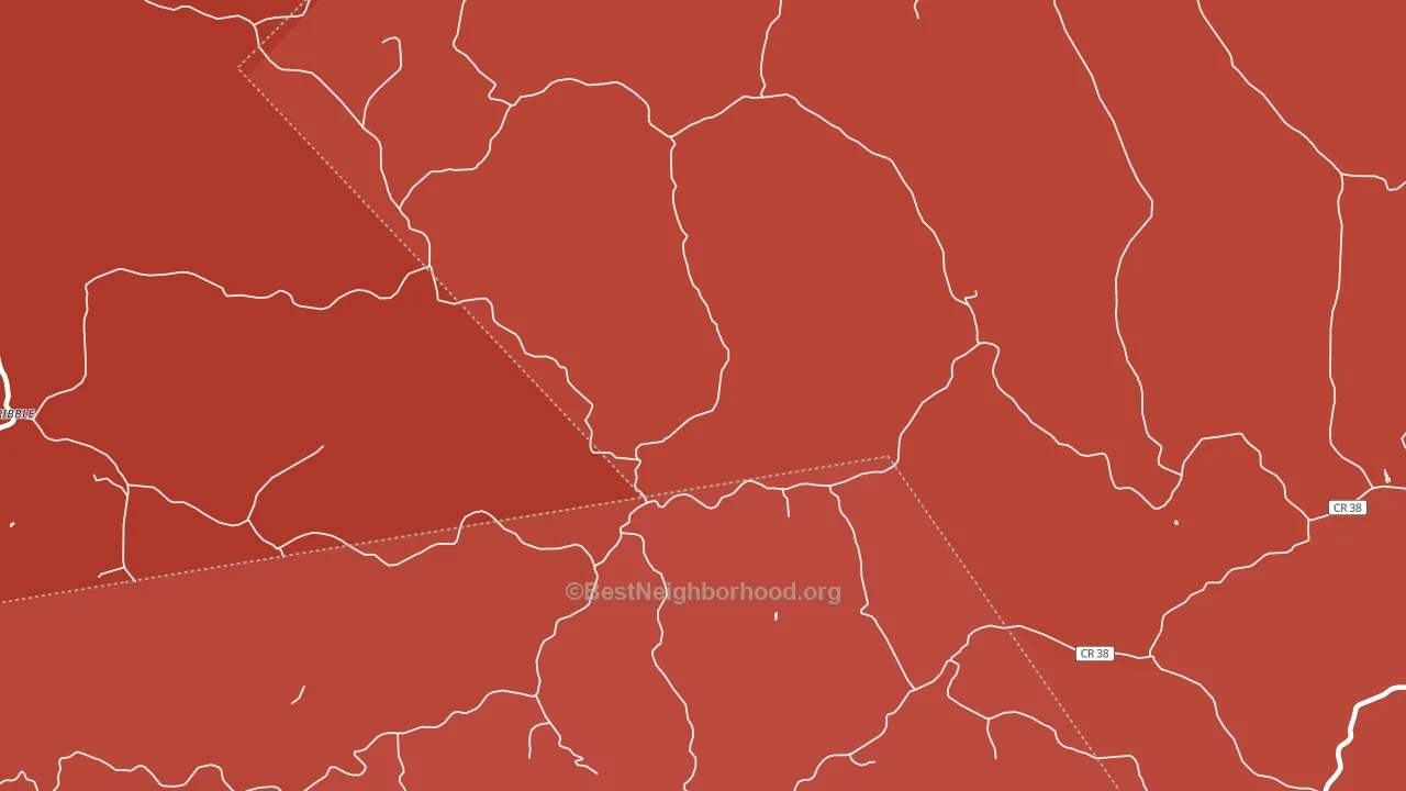 Young, WV block-group political-lean map