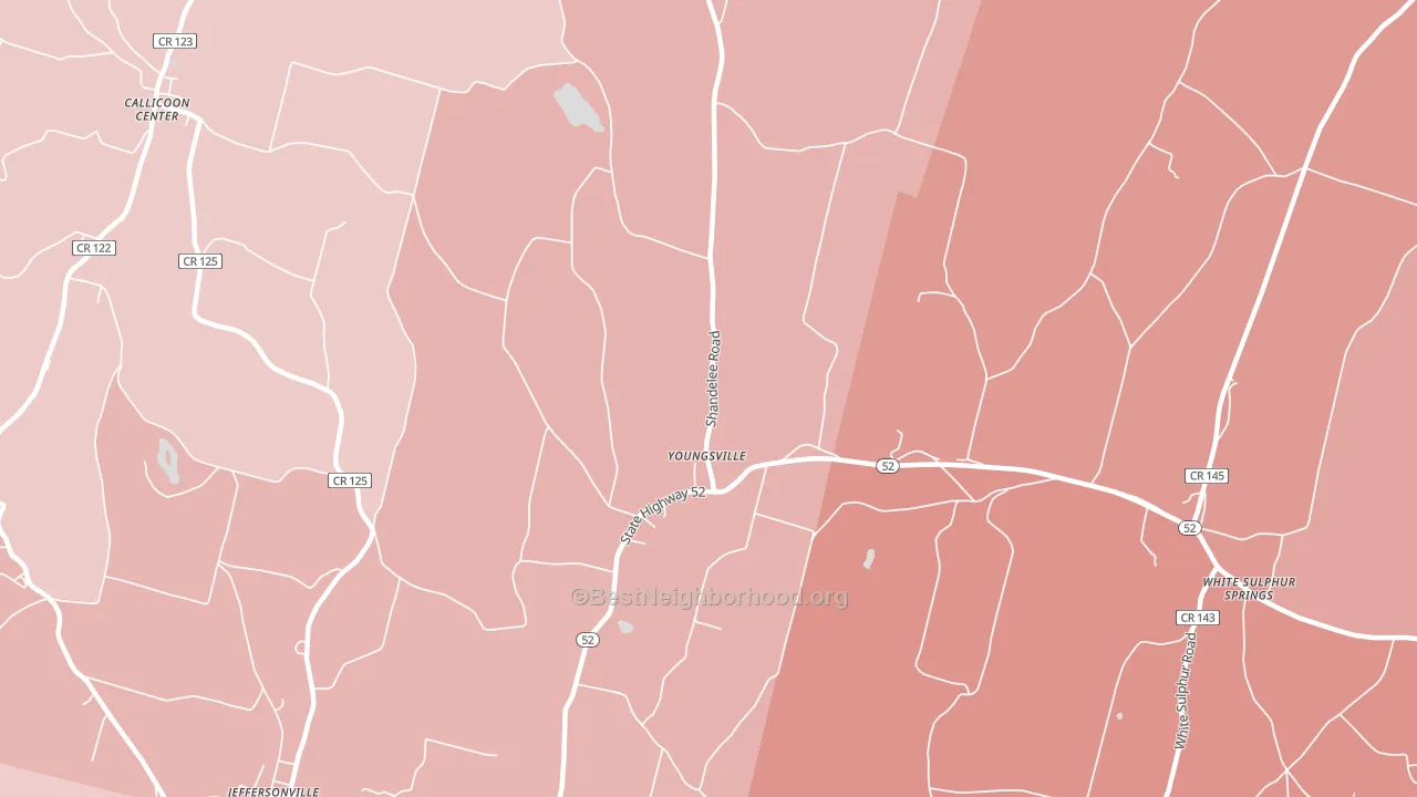 Youngsville, NY block-group political-lean map