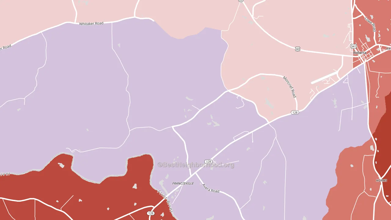 Zenith, GA block-group political-lean map