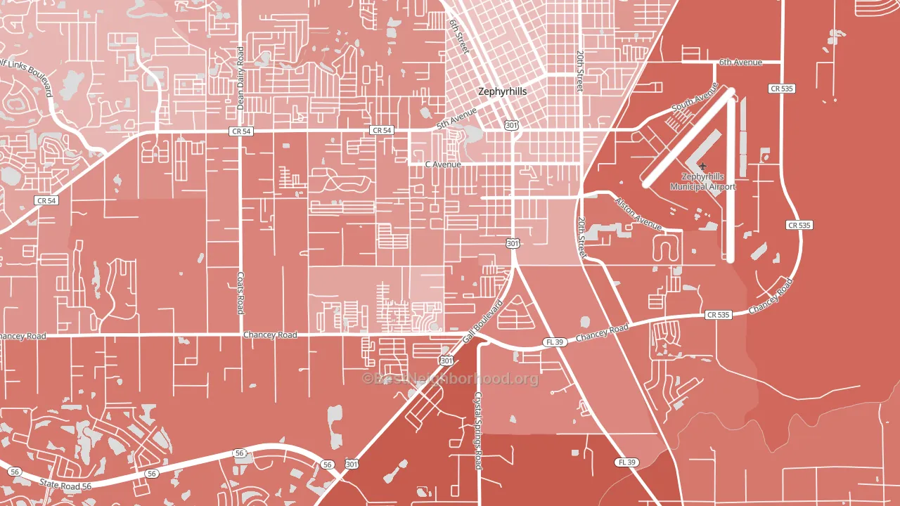 Zephyrhills South, FL block-group political-lean map