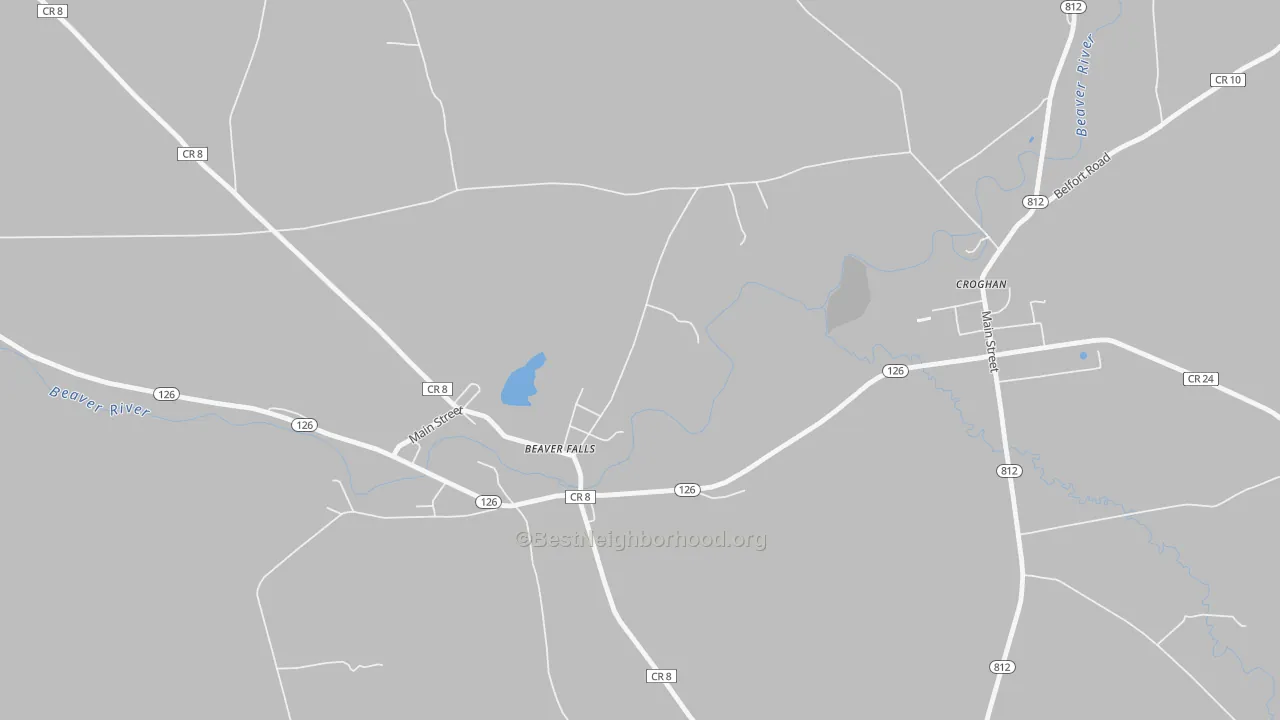 Transit Grade map of 13305, NY