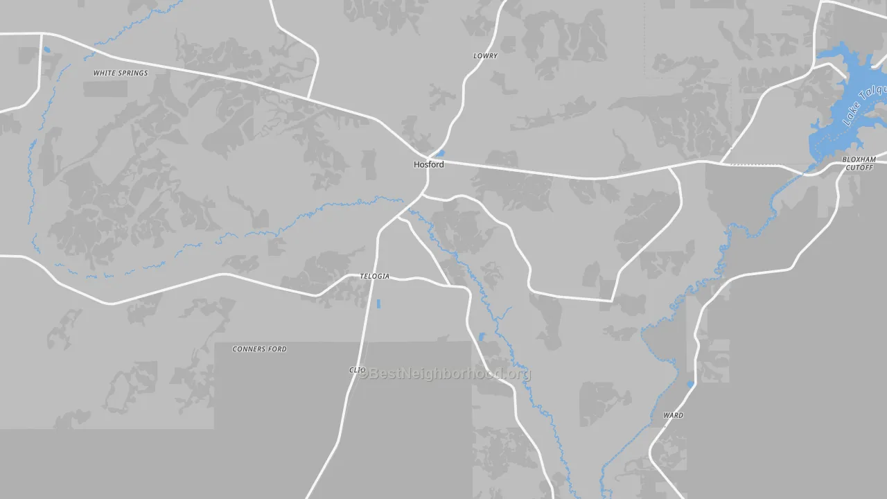 Transit Grade map of 32334, FL