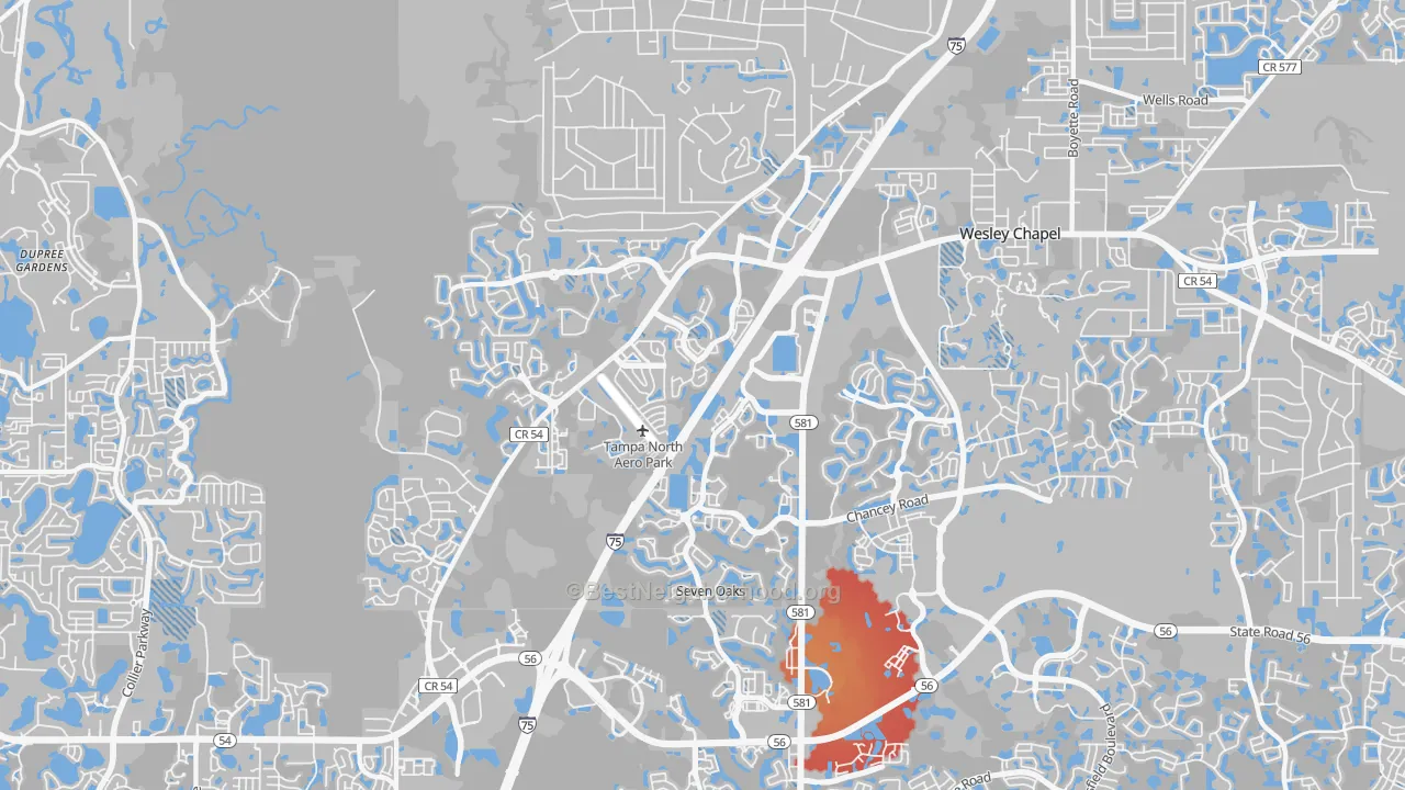 Transit Grade map of 33544, FL