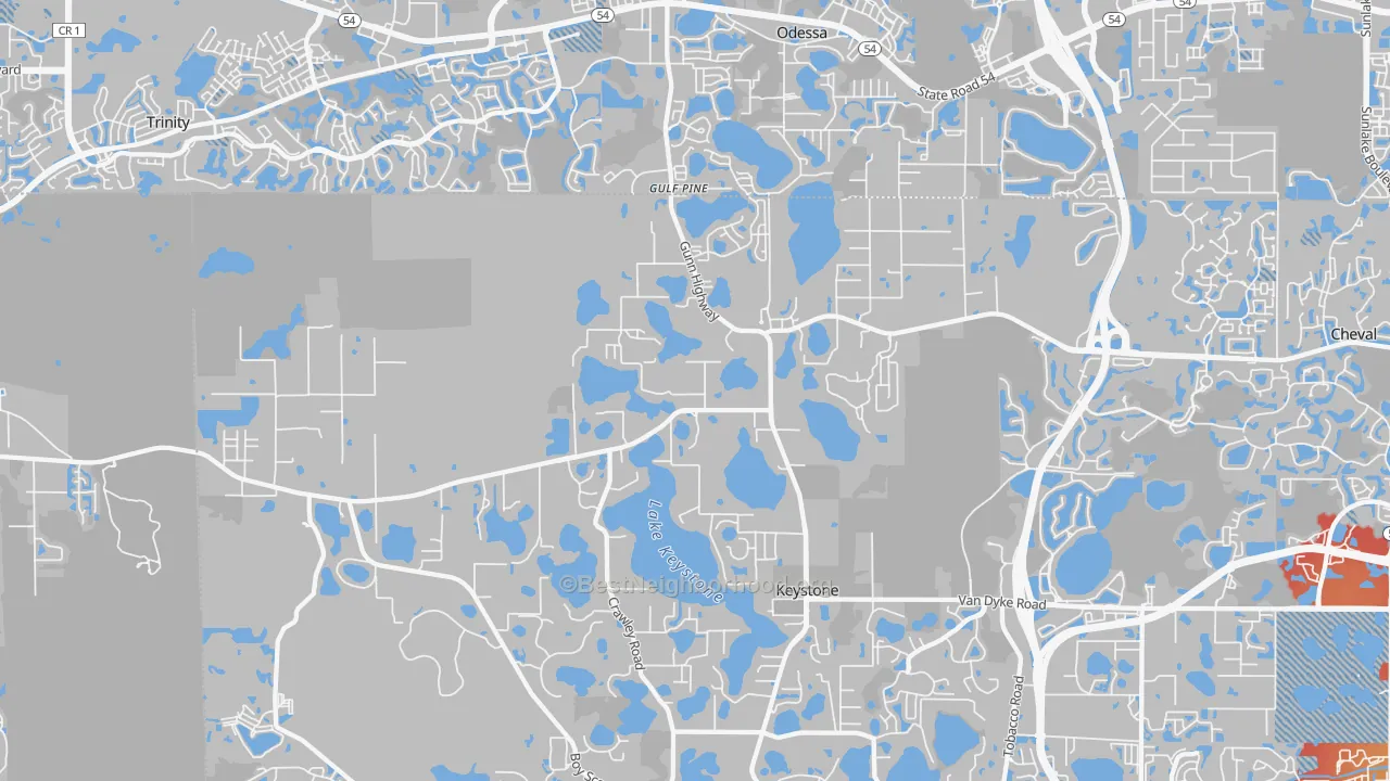 Transit Grade map of 33556, FL