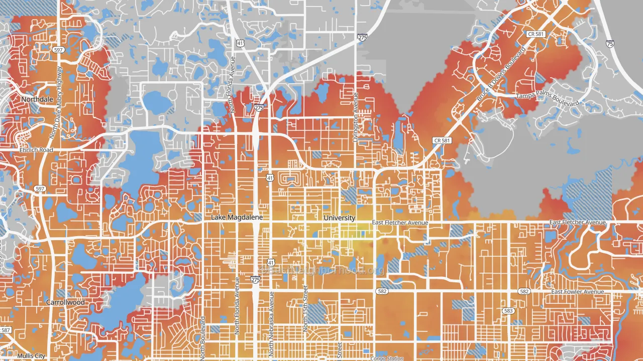Transit Grade map of 33613, FL
