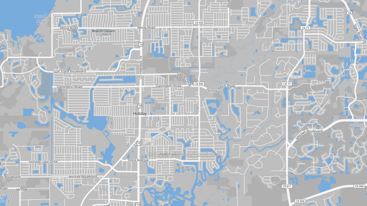Transit Grade map of 34690, FL