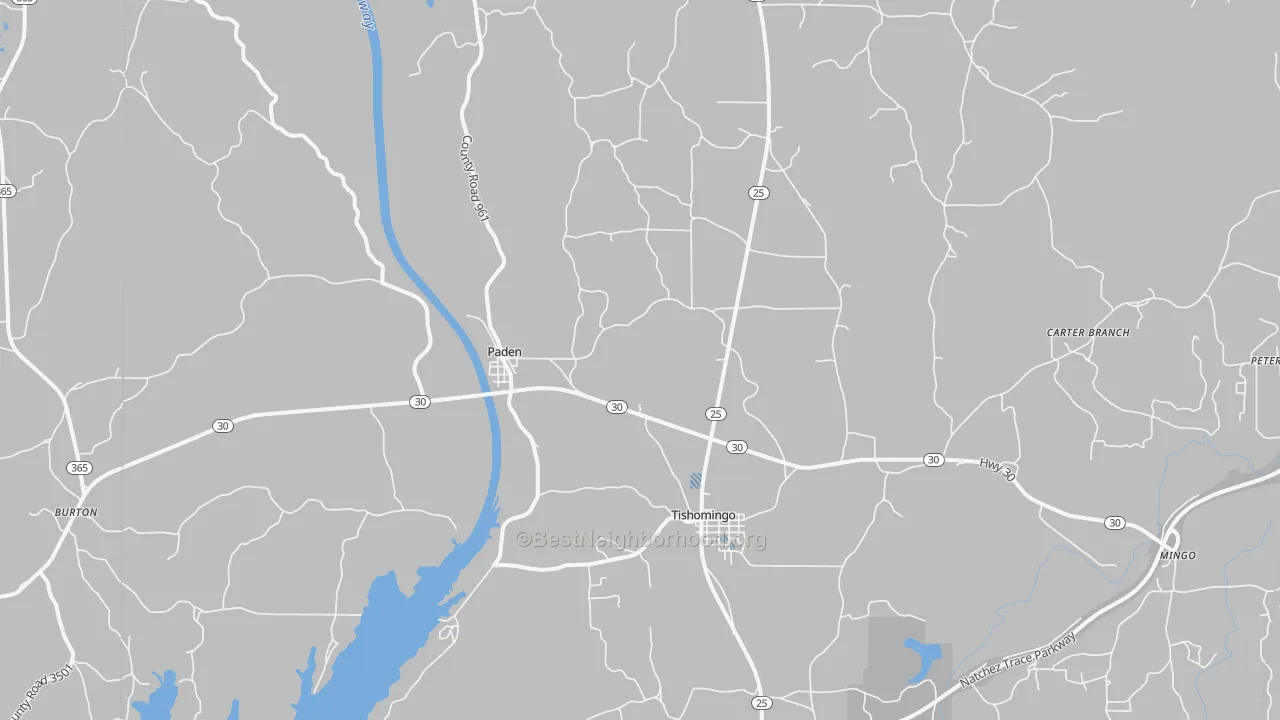 Transit Grade map of 38873, MS