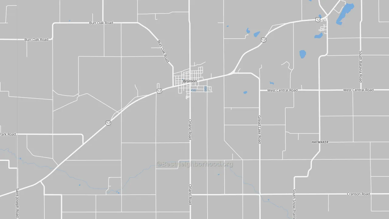 Transit Grade map of 49028, MI