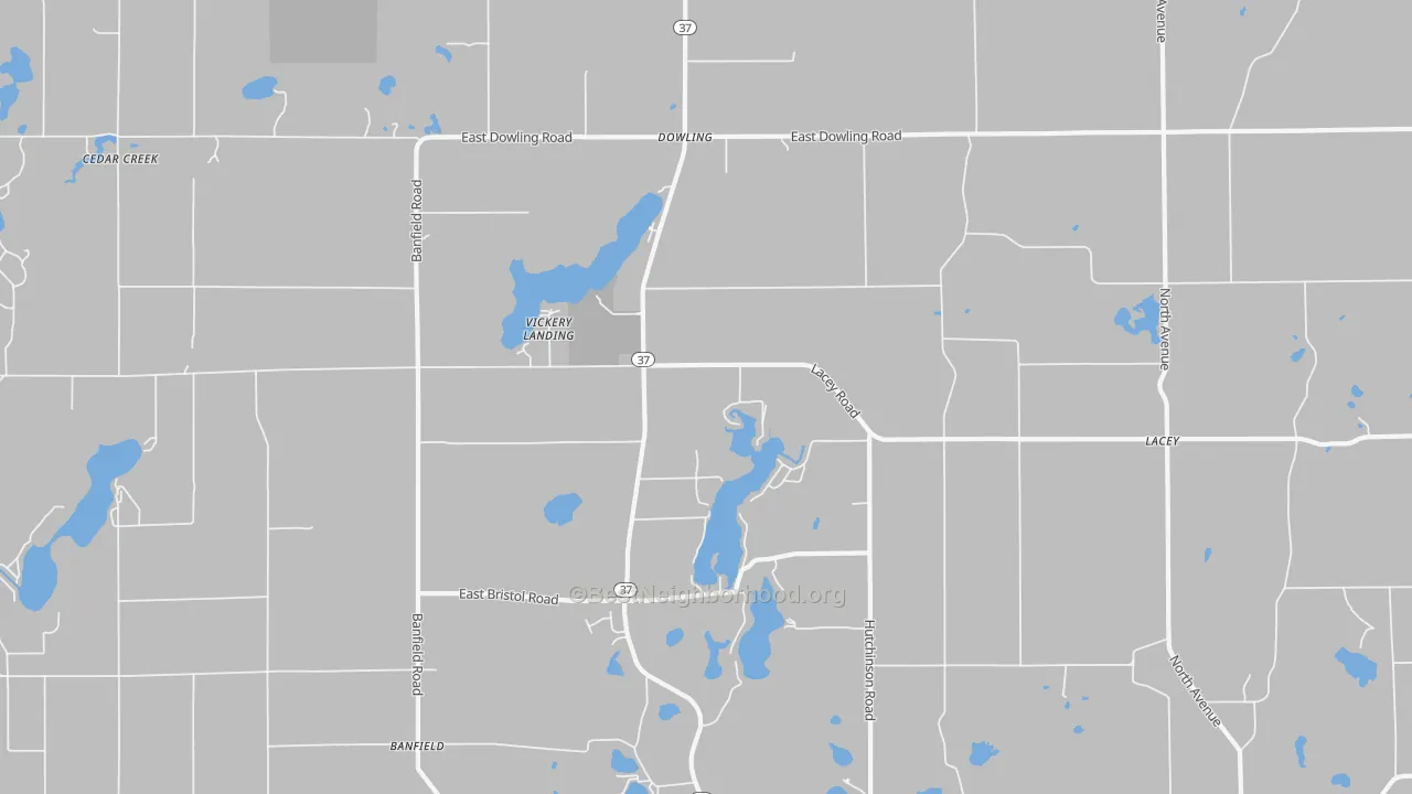 Transit Grade map of 49050, MI