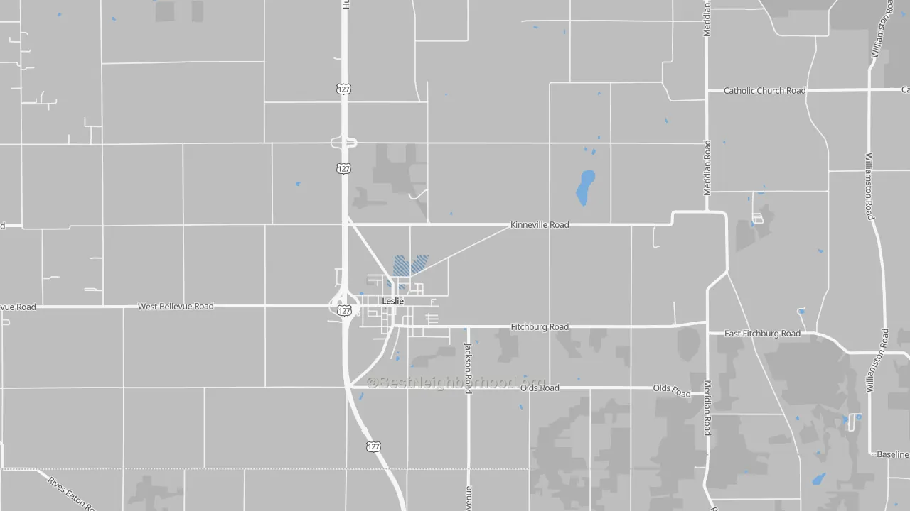 Transit Grade map of 49251, MI