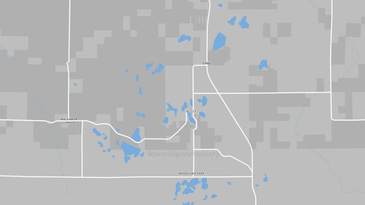 Transit Grade map of 49309, MI