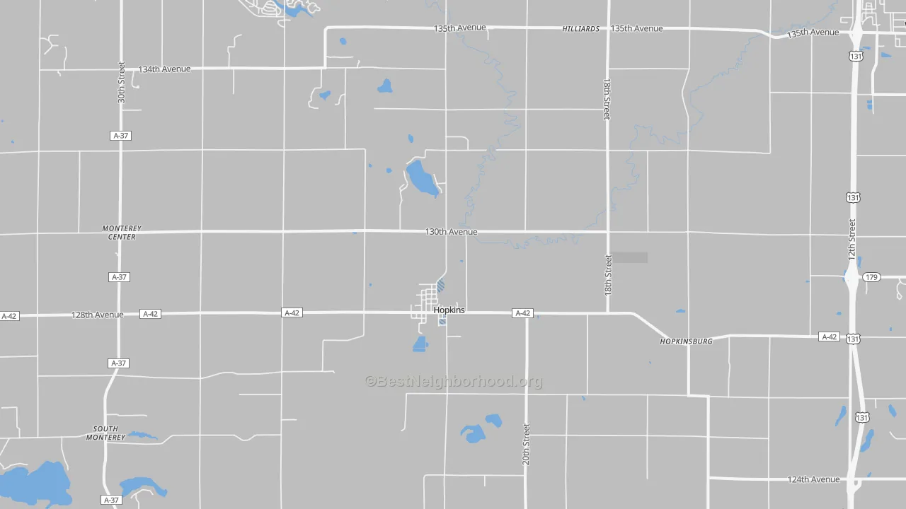 Transit Grade map of 49328, MI