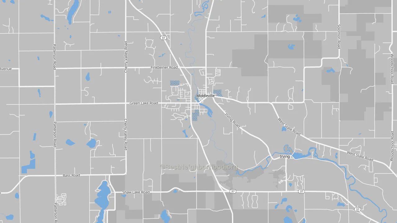 Transit Grade map of 49333, MI