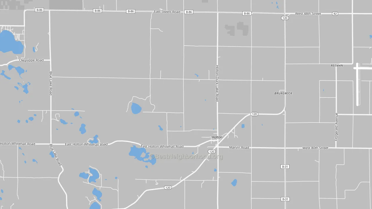 Transit Grade map of 49425, MI