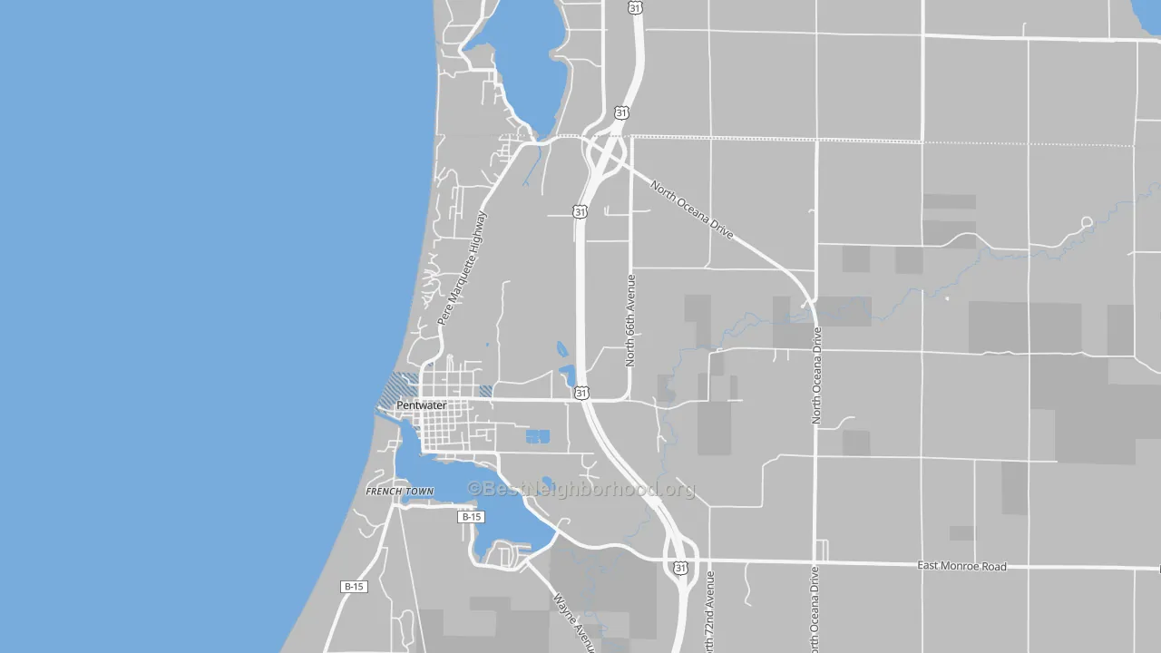 Transit Grade map of 49449, MI
