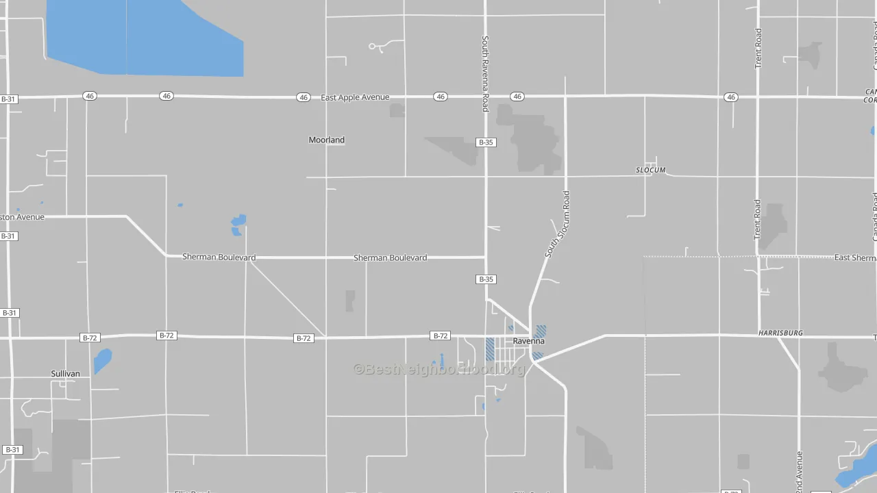 Transit Grade map of 49451, MI