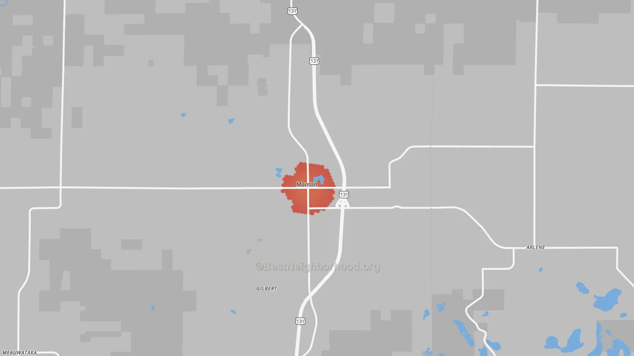 Transit Grade map of 49663, MI