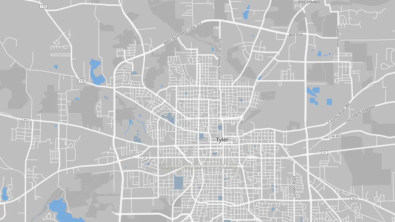 Transit Grade map of 75702, TX