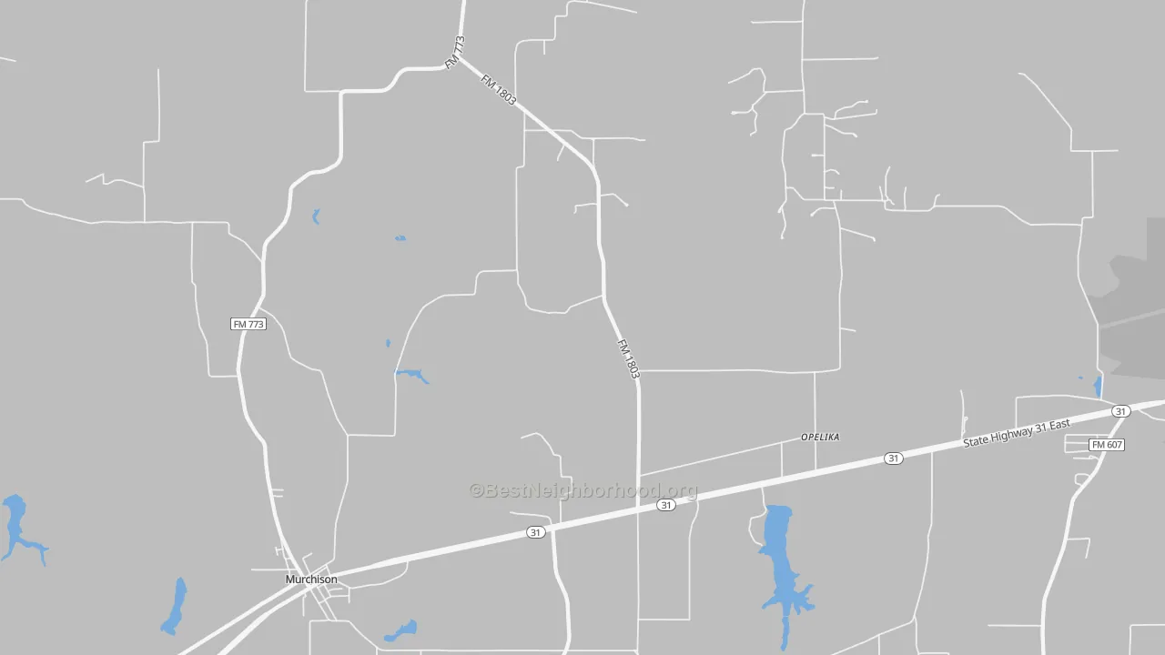 Transit Grade map of 75778, TX