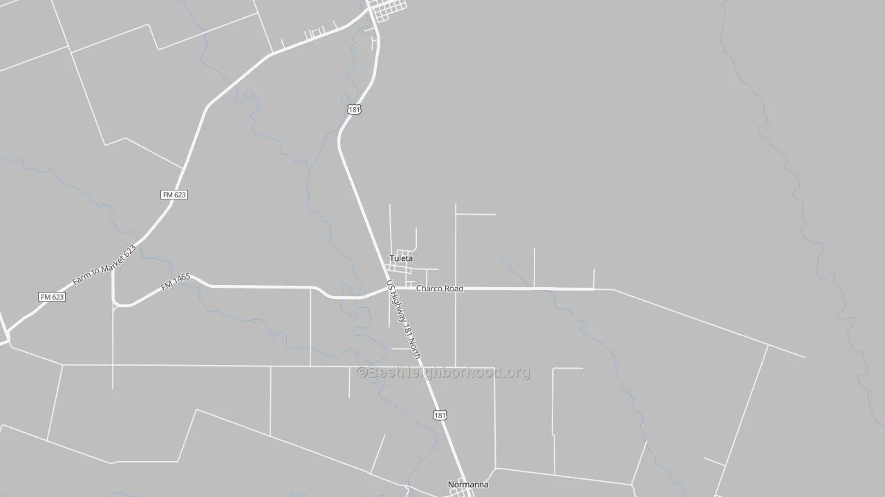 Transit Grade map of 78162, TX