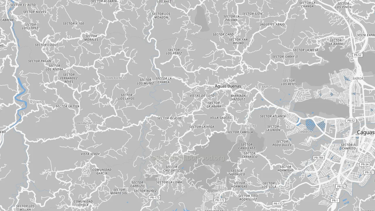 Transit Grade map of Aguas Buenas Municipio, PR