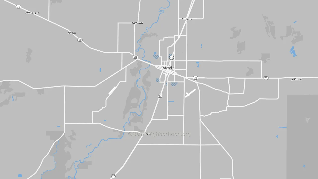 Transit Grade map of Arcadia, FL