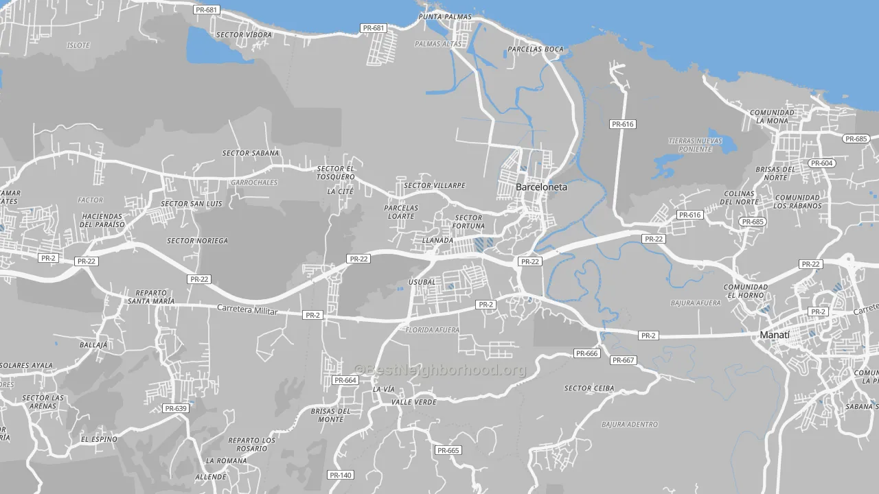 Transit Grade map of Barceloneta Municipio, PR