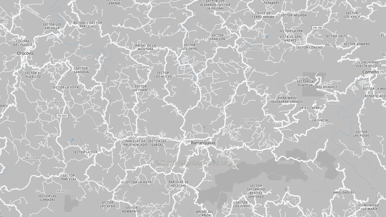Transit Grade map of Barranquitas Municipio, PR