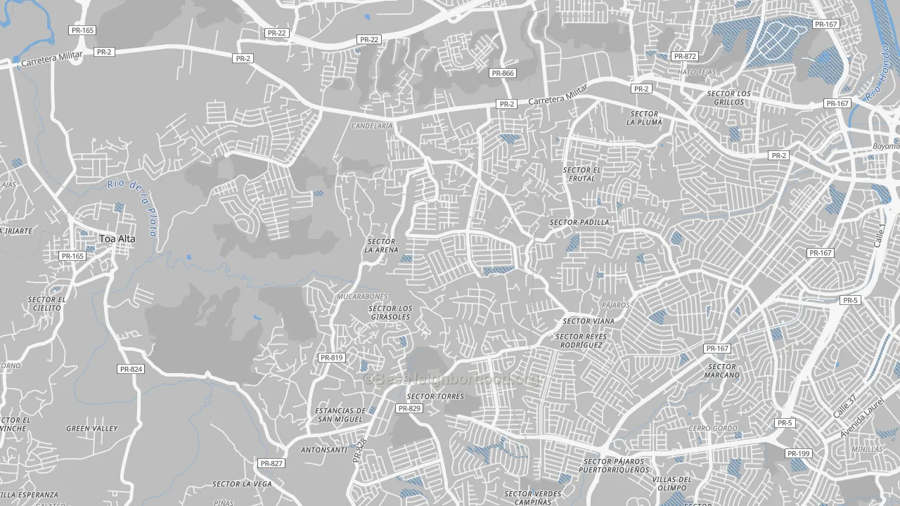 Transit Grade map of Bayamon Gardens, PR